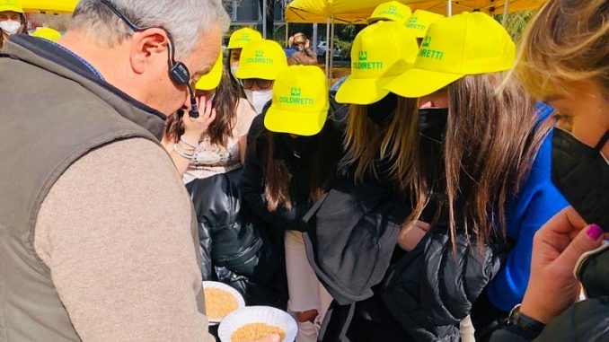 laboratorio su cereali al mercato campagn amica