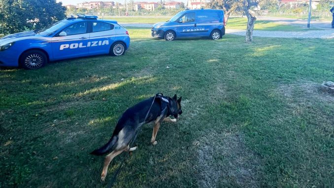 polizia cane poliziotto antidroga