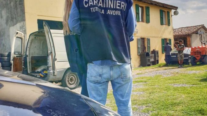 Nil - Cp Parma