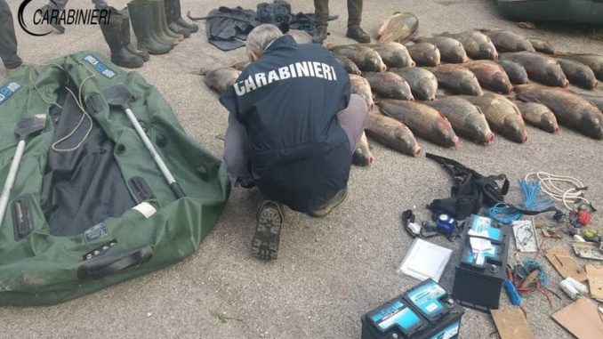 Foto_Carabinieri_-_Bracconaggio_001