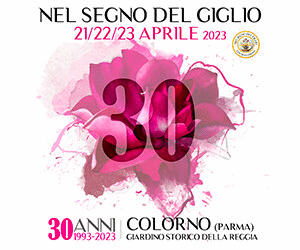 ciglio