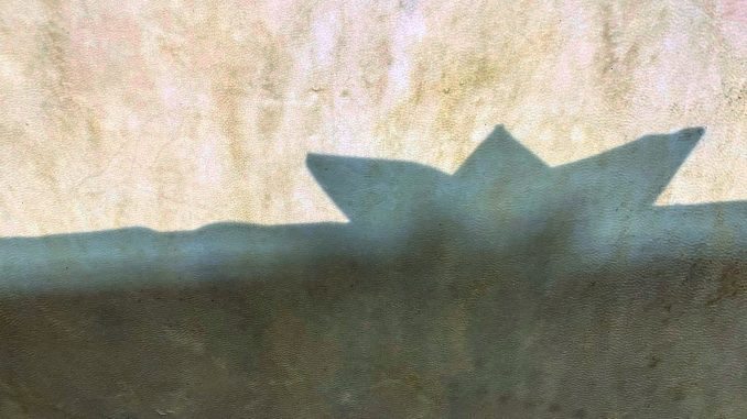 il lungo viaggio