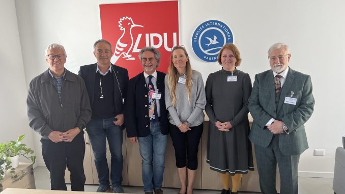Giovanelli, Vignali, Spina, Philippa Brakes, Heidrun Frisch Nwakanma, Mark Simmonds