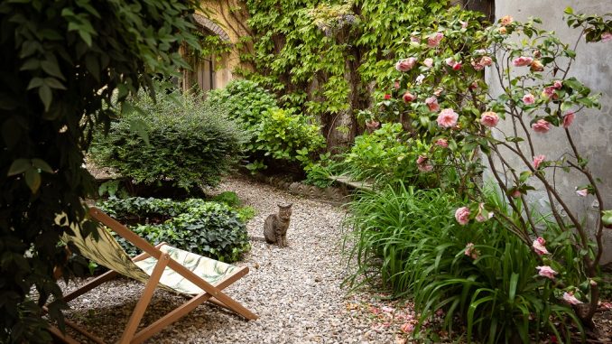 Interno Verde Parma 33