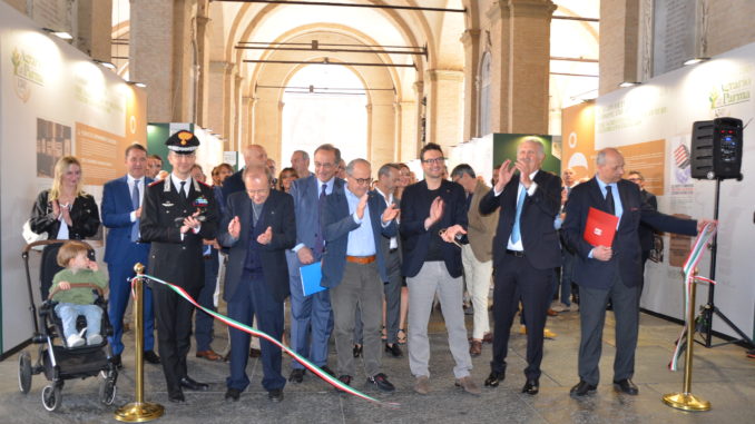 consorzio mostra guerra