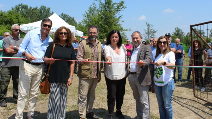 foto taglio nastro