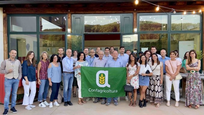 VENDEMMIA A PARMA Si parte con la raccolta delle uve Produzione -20 Ma qualità buona 002