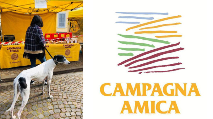 campagna amica cani passeggiata a sei zampe