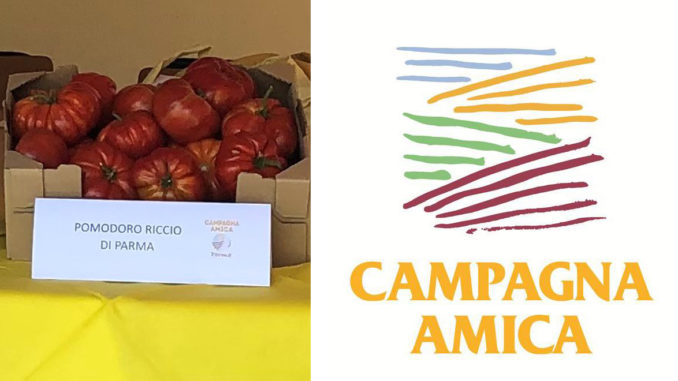 campagna amica pomodoro