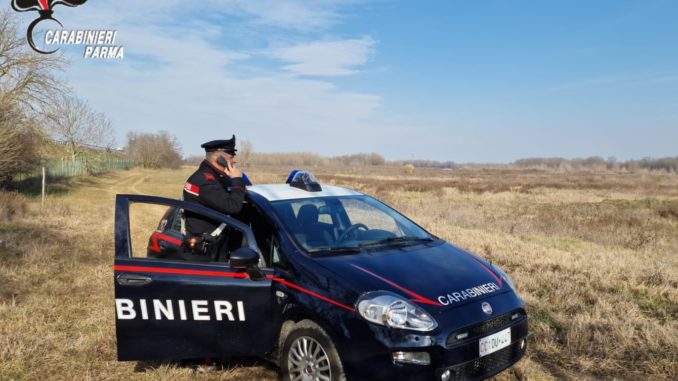 Tizzano con logo