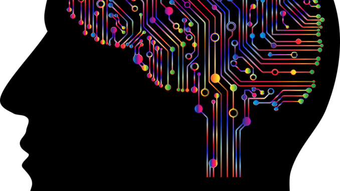 brain-4863428_1280
