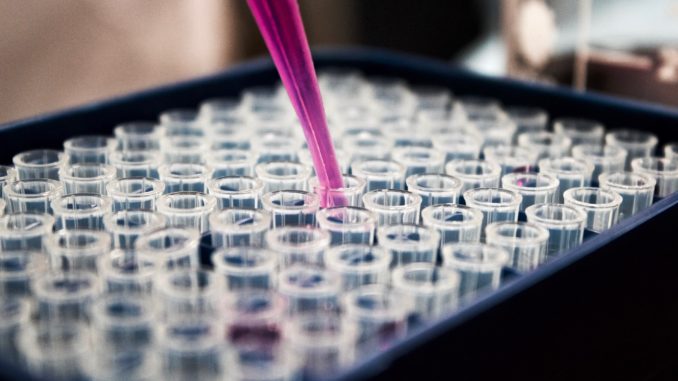 scienza ricerca