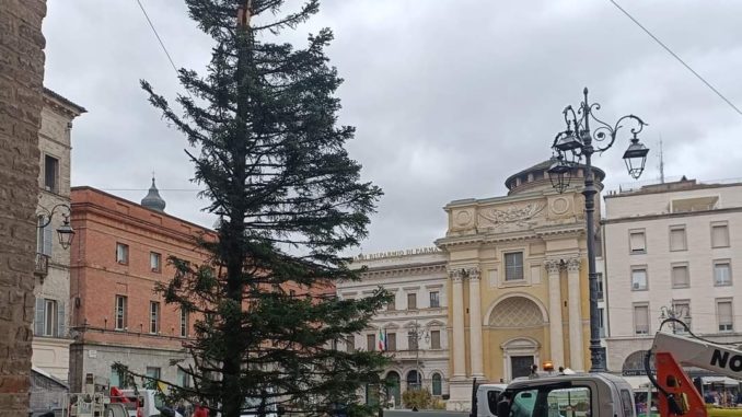 albero