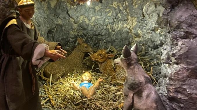 presepe_lupo