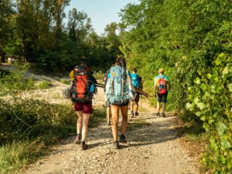 Pellegrini sulla via Francigena