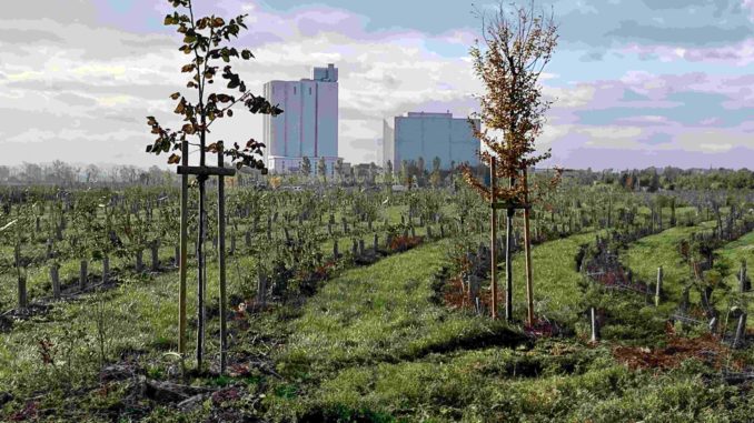Agugiaro_e_Figna_ stabilimento di Collecchio e bosco del molino