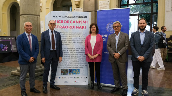 Microrganismi straordinari 1-1