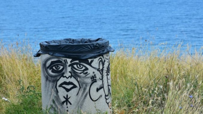 Immagine 2024-10-17 122824