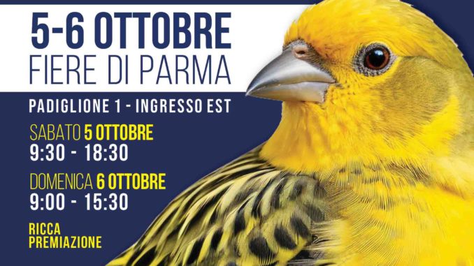 a locandina mostra ornitologica