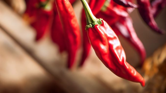 red chili peppers on a wooden background
