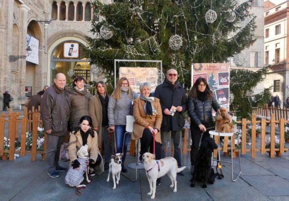 2018 12 10 Paci E Natale amici cani0040