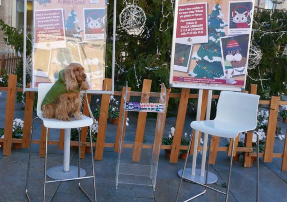 2018 12 10 Paci E Ntale amici cani0956