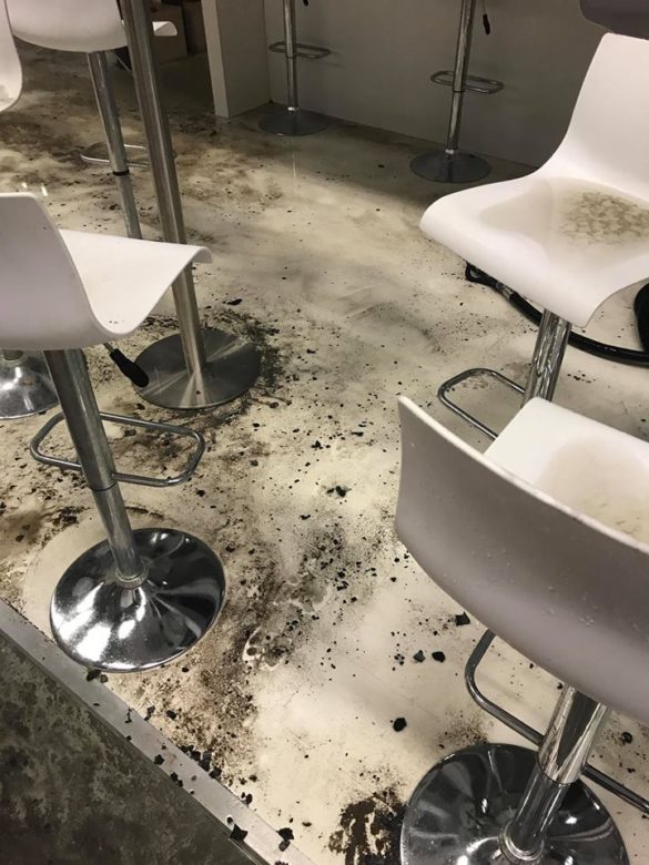 32130364_10212999464394563_8681224388164452352_n