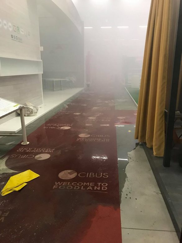 32336776_10212999461994503_62739104143507456_n