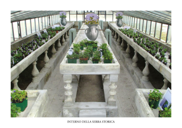 5_Foto_Serra_Storica2