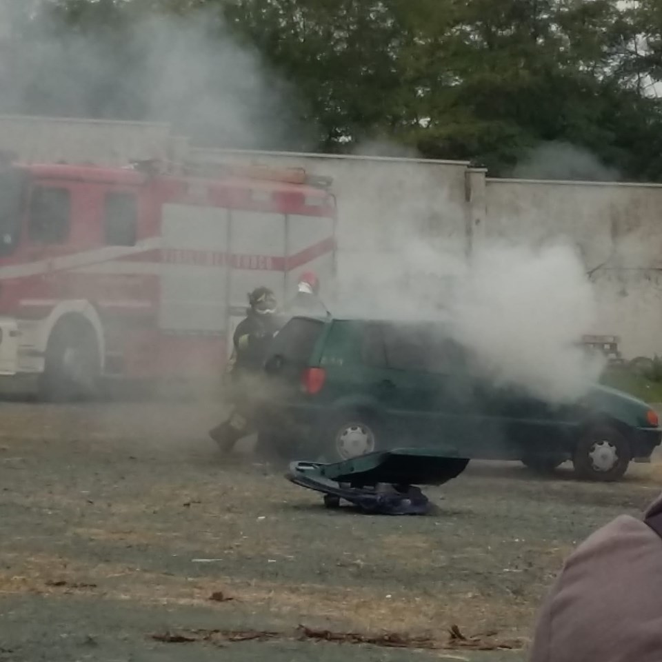 72732731_2499274956852637_8152700032139657216_n