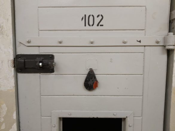 WhatsApp Image 2019-11-18 at 00.08.11 (1)