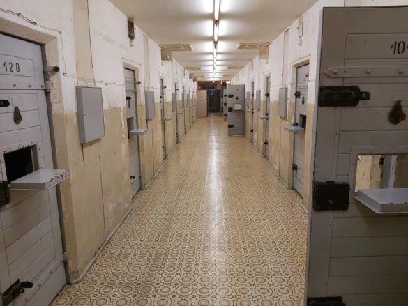 WhatsApp Image 2019-11-18 at 00.10.45