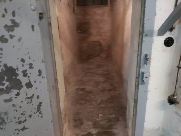 WhatsApp Image 2019-11-18 at 00.22.43 (1)