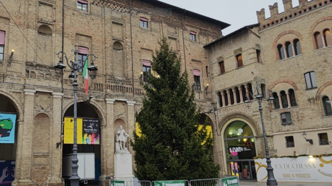 albero natale 24 ok