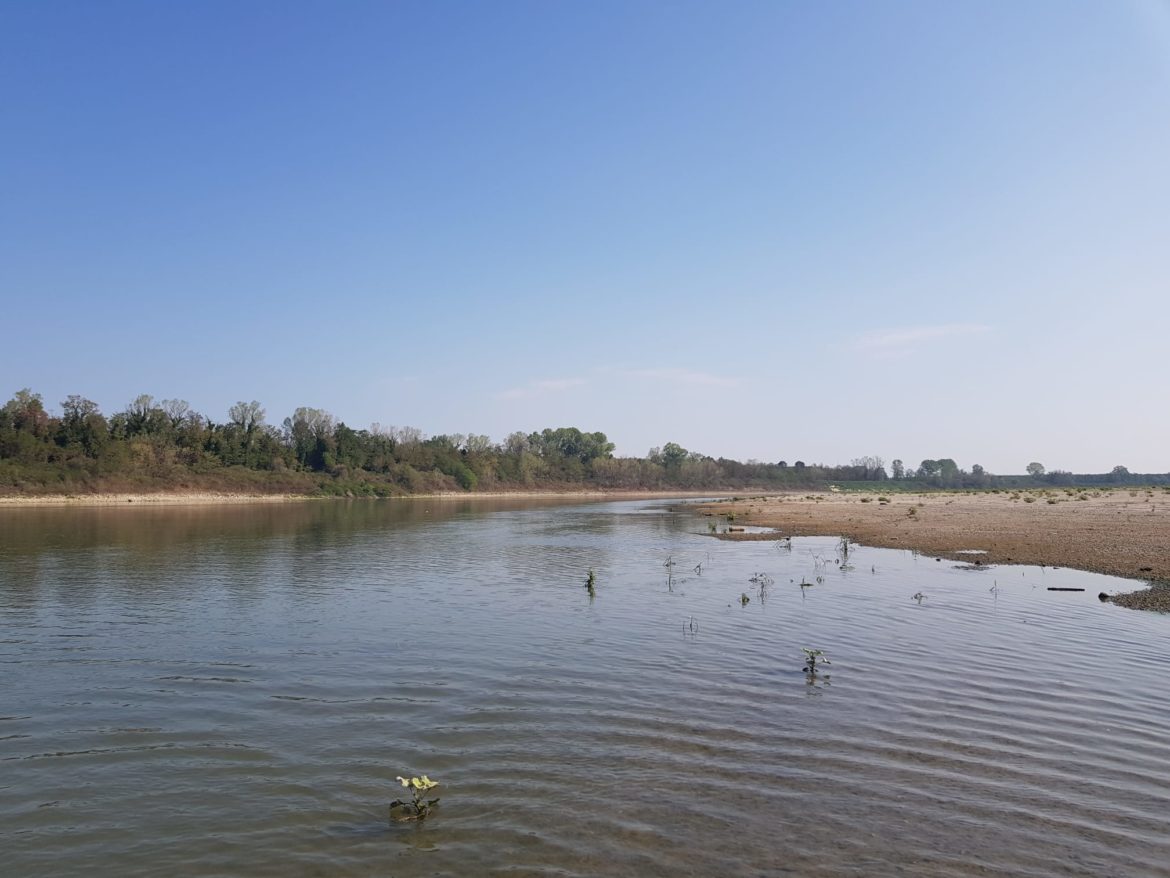 Foto_ADBPo_-_Fiume_Po_-_Panni_Fotoreporter