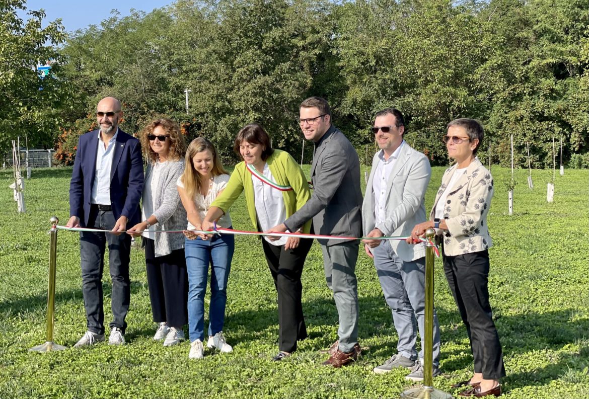 KilometroVerdeParma_Bosco-Margherita_Foto-scaled