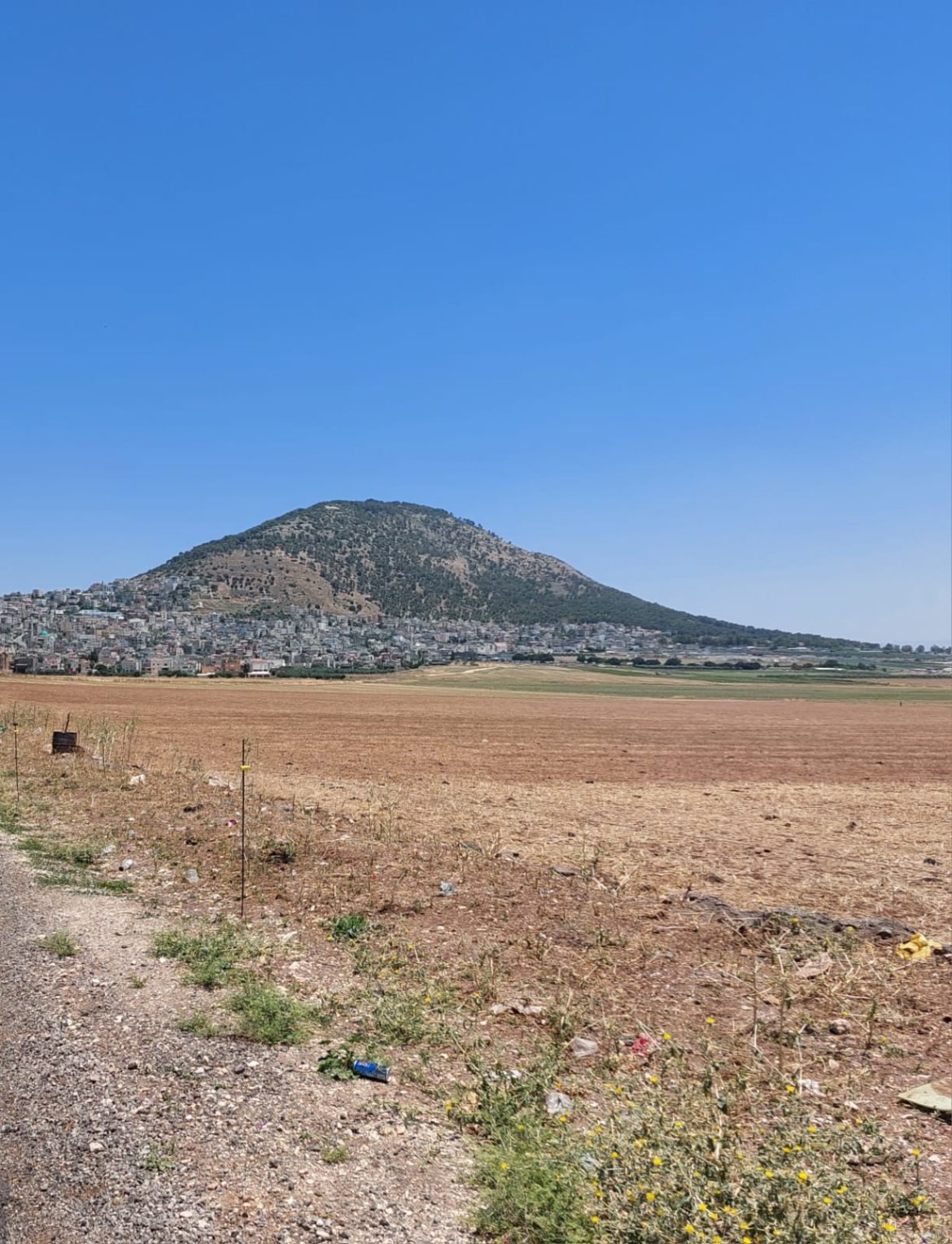 WhatsApp-Image-2023-06-21-at-13.10.29-1-1