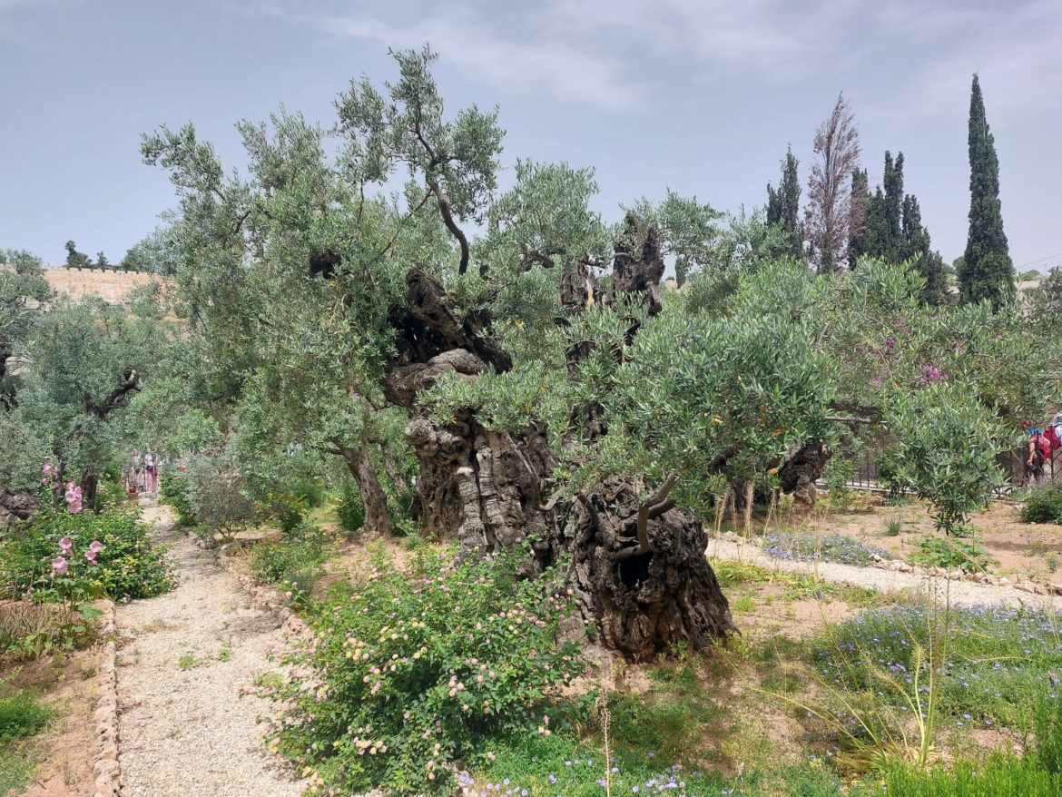 WhatsApp-Image-2023-11-27-at-20.13.18