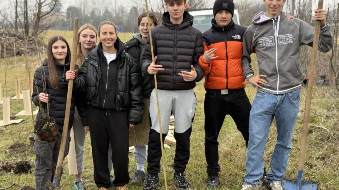 KilometroVerdeParma - Progetto WeTree (2)