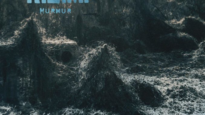 rem_murmur