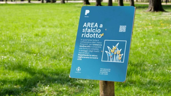 sfalciparma