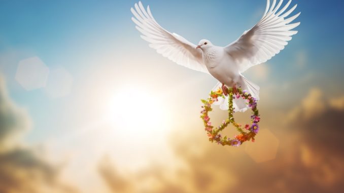 White,Dove,Holding,Flower,And,Branch,In,Symbol,Of,Peace