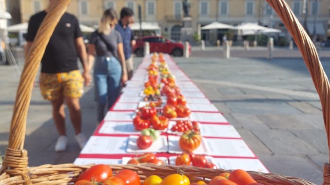 festival-pomodoro2204-2