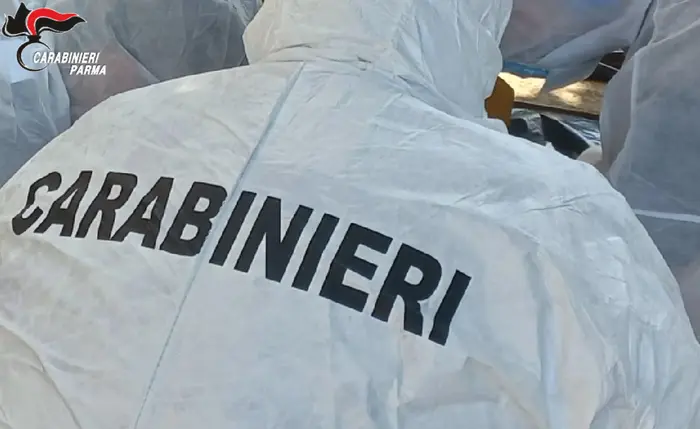 24.10.2025 Fontevivo foto di repertorio (1)