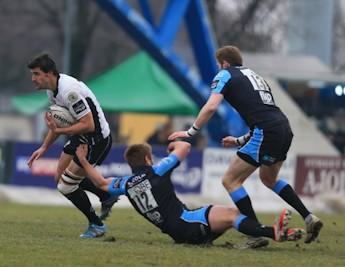 Zebre27.jpg