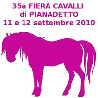cavalli.jpg