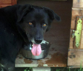 nerone345.jpg