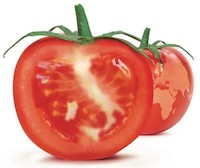 pomodoro BIG.jpg