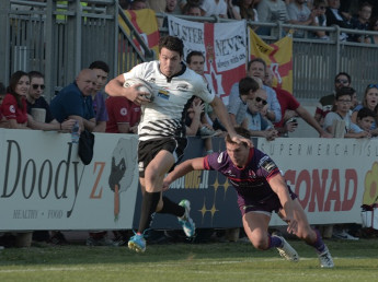 zebre21.jpg